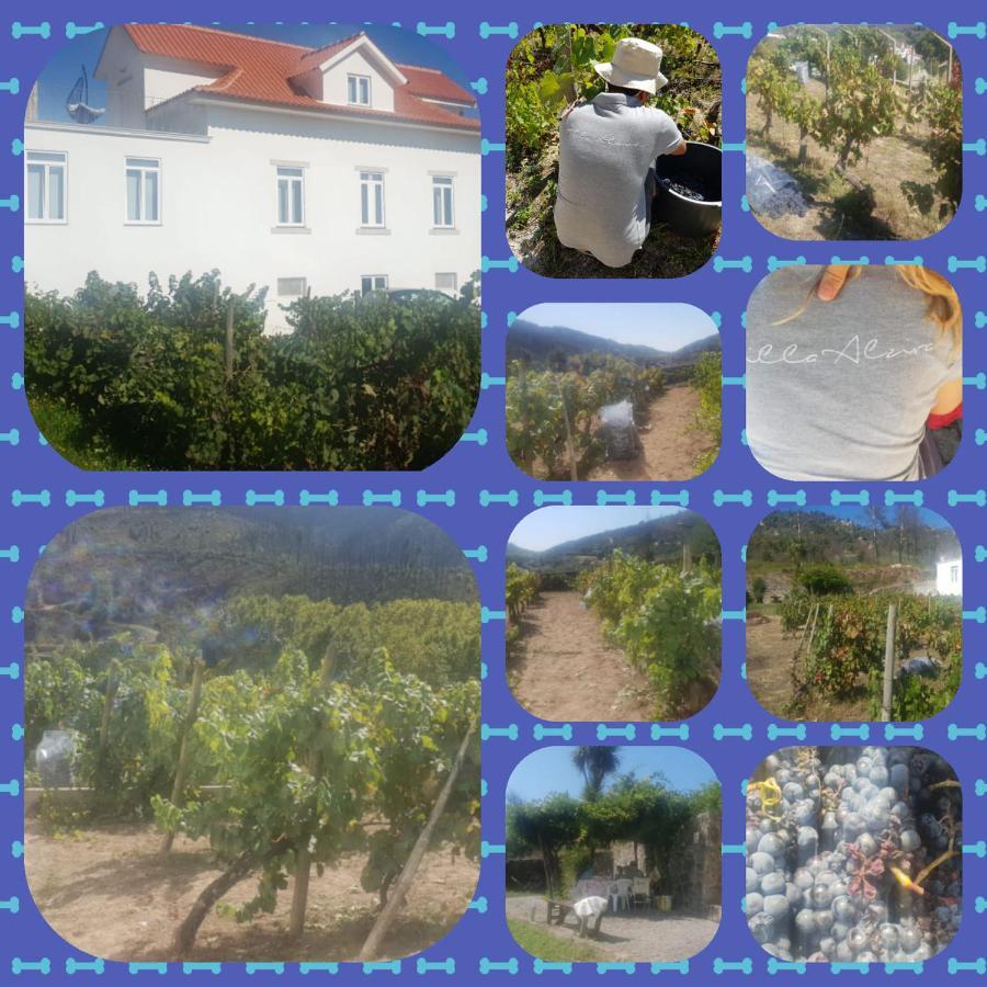 Villa Alzira Seia Kültér fotó