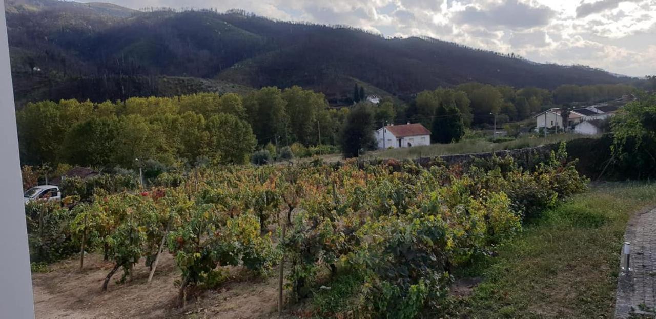 Villa Alzira Seia Kültér fotó