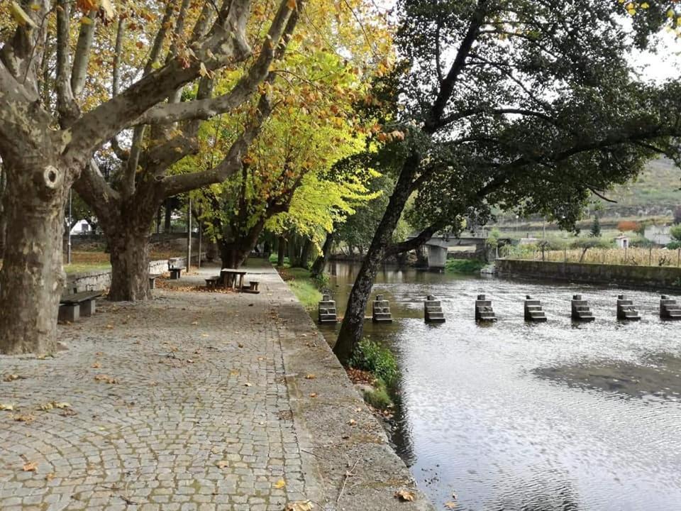 Villa Alzira Seia Kültér fotó
