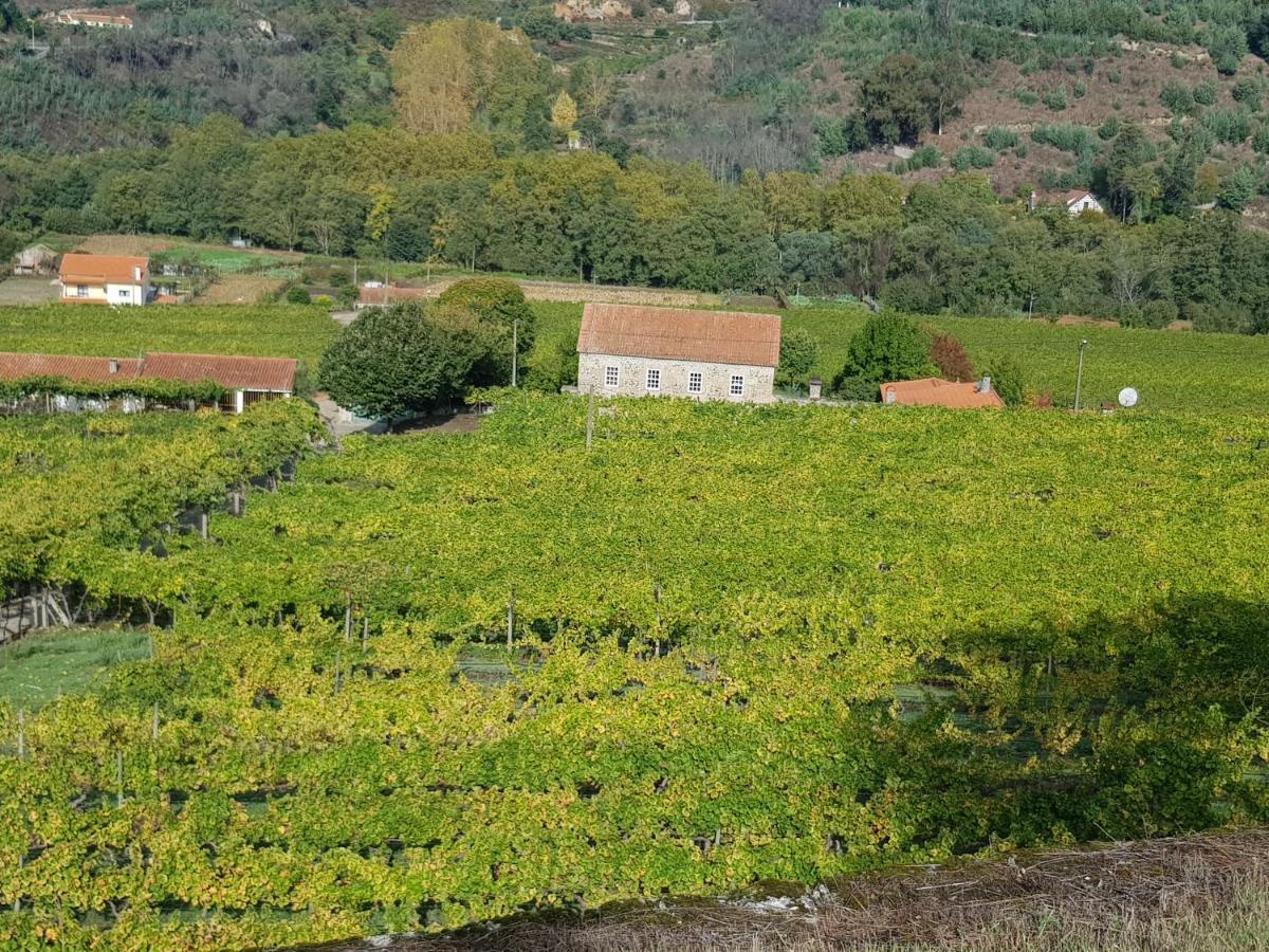Villa Alzira Seia Kültér fotó